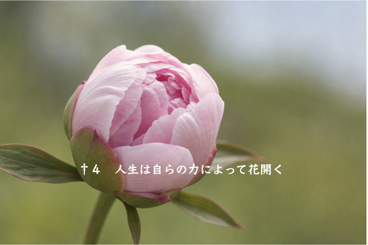魂の道 挿入画像 5